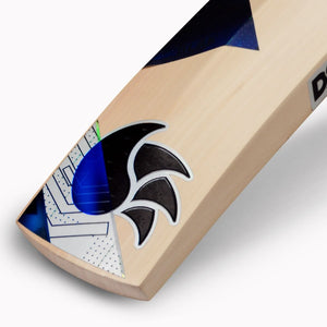 DSC BLK 450 CRICKET BAT – SH - SportsHQ