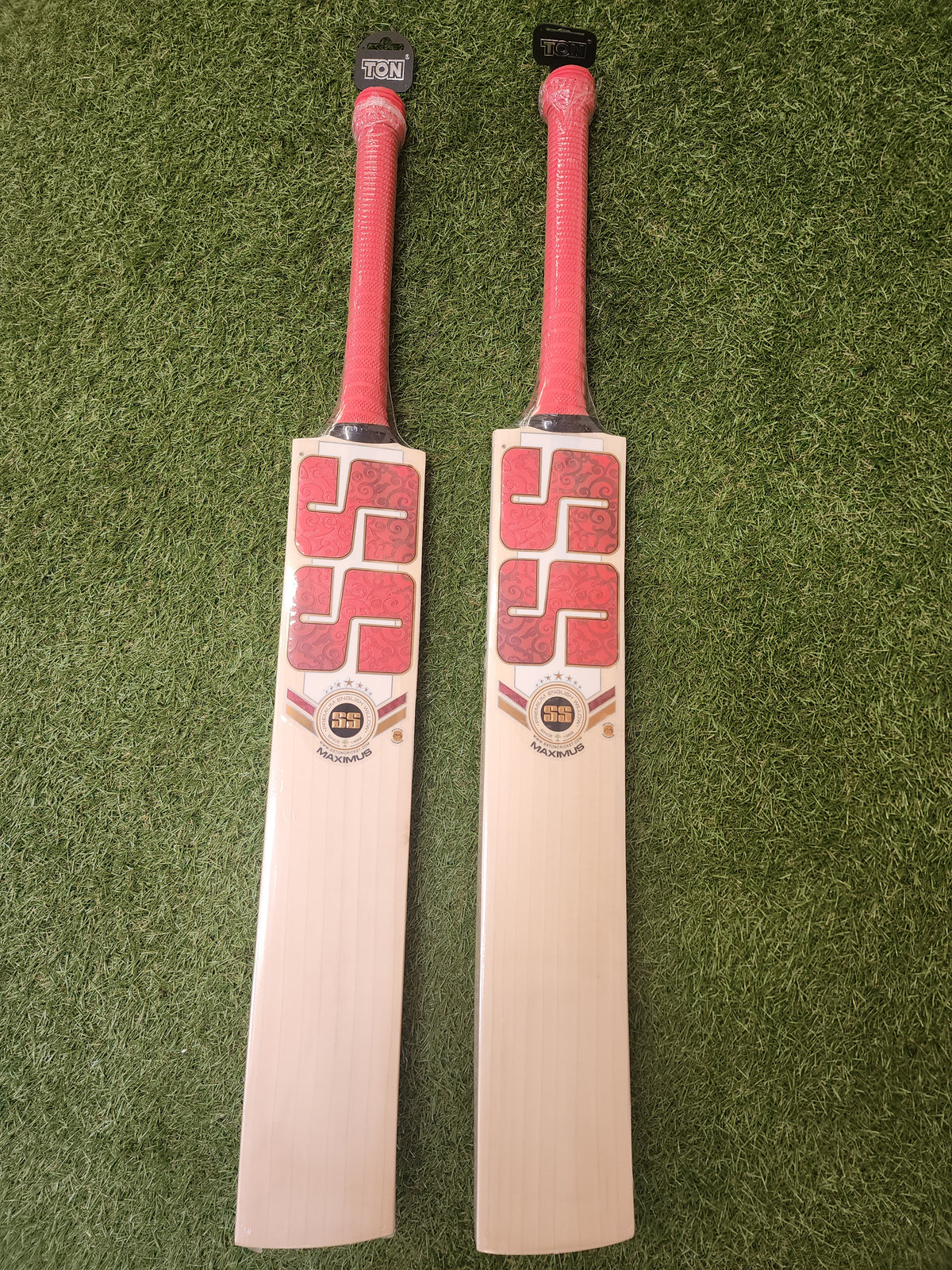 SS MAXIMUS ENGLISH WILLOW BAT- SH - SportsHQ