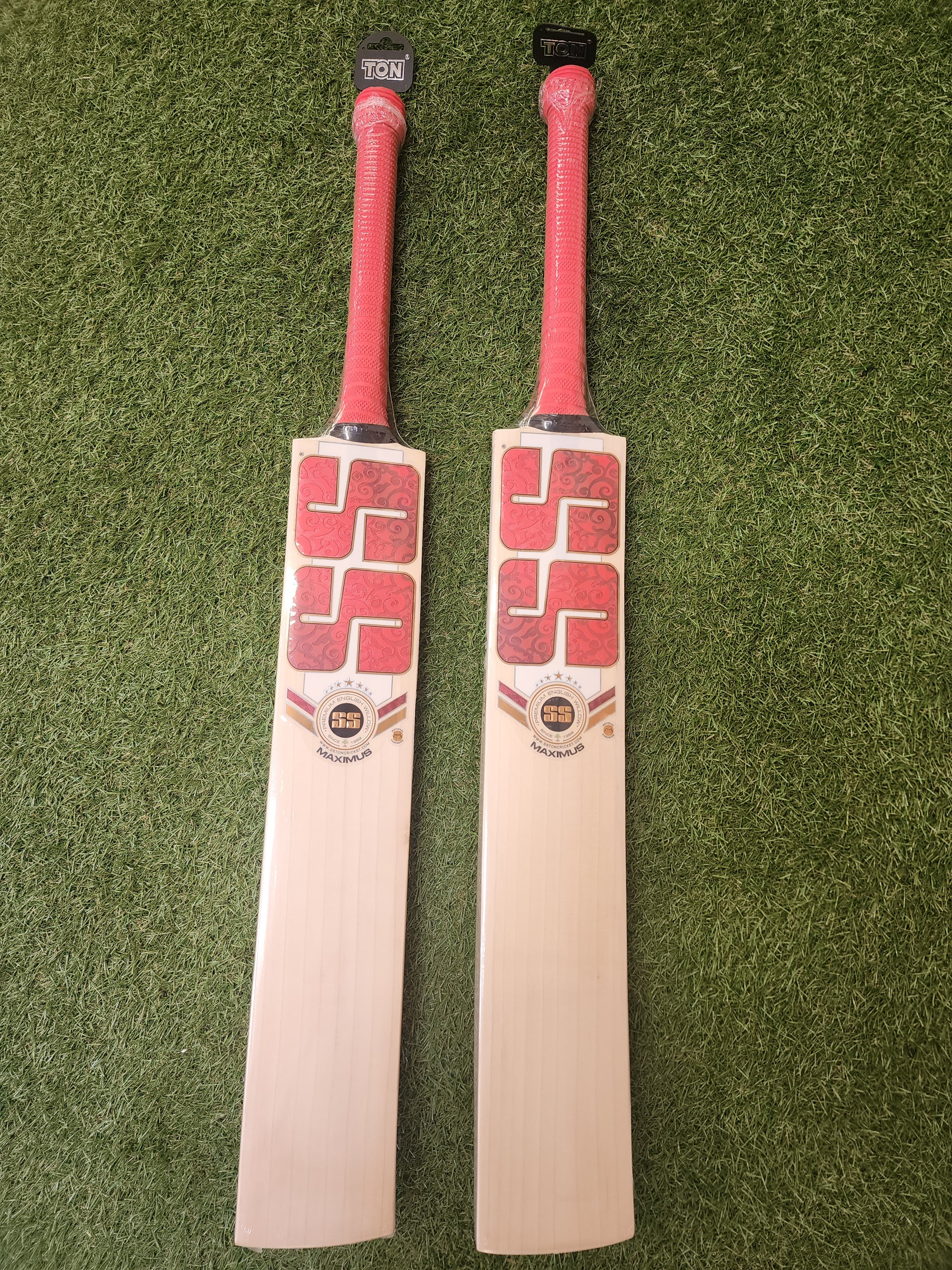 SS MAXIMUS ENGLISH WILLOW BAT- SH - SportsHQ