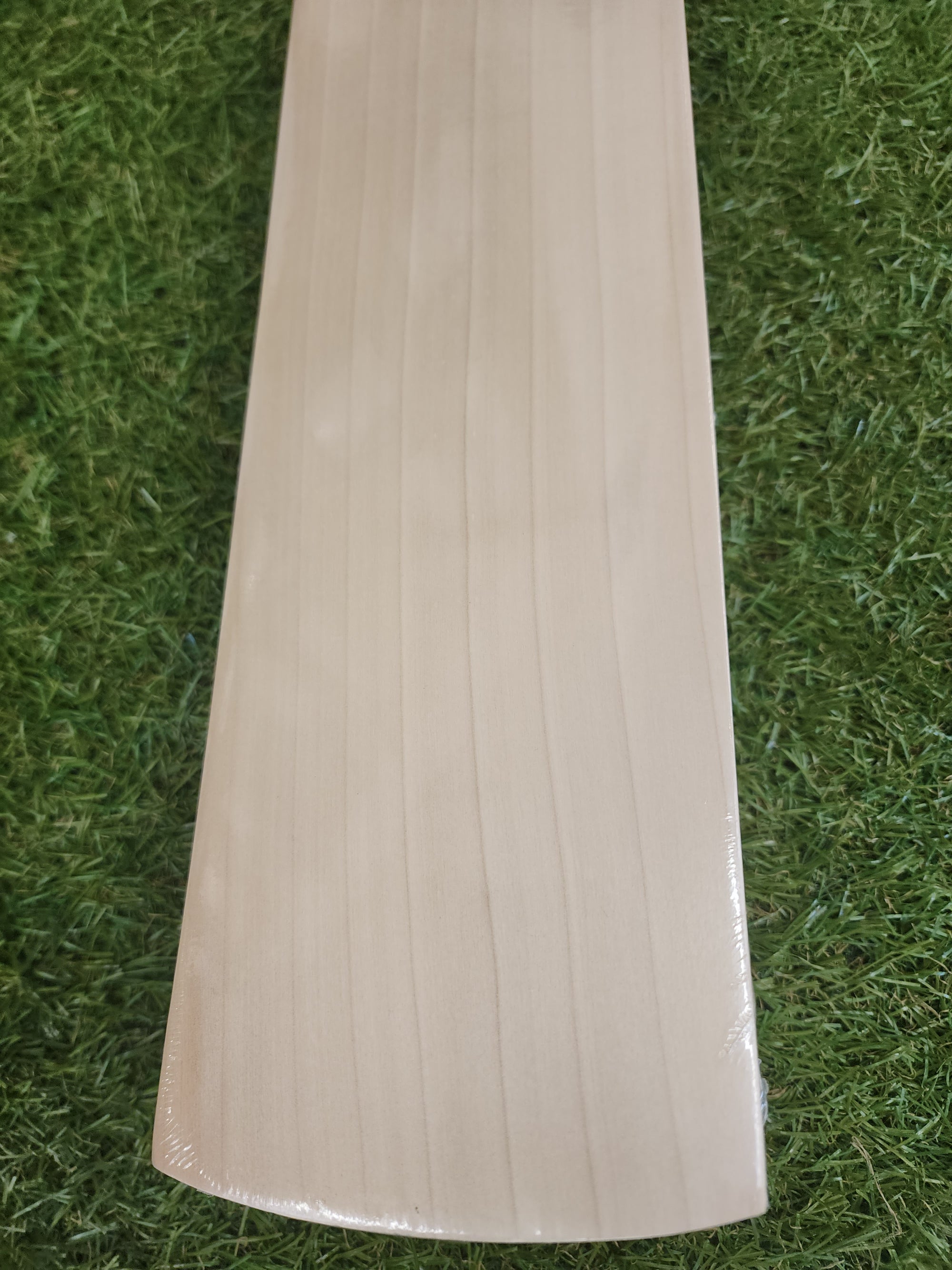 DSC INTENSE VIGOR CRICKET BAT – SH - SportsHQ