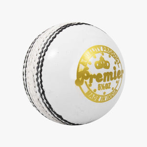 DSC Premier Leather Cricket Ball – 4 Piece – 156gm – White - SportsHQ