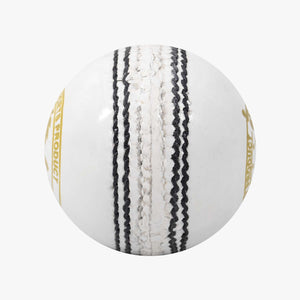 DSC Premier Leather Cricket Ball – 4 Piece – 156gm – White - SportsHQ