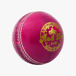 DSC Red Dot Leather Cricket Ball – 4 Piece – 156gm – Pink - SportsHQ