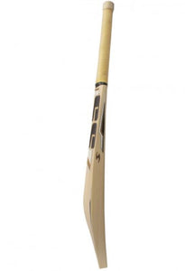 SS Super Select English Willow Cricket Bat – SH - SportsHQ